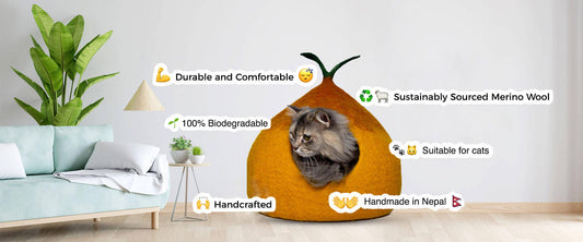 A cozy felted wool cat cave made from natural merino wool, symbolizing the popularity and benefits of these cat homes, with a blog introduction about why they are cherished by cat owners worldwide.