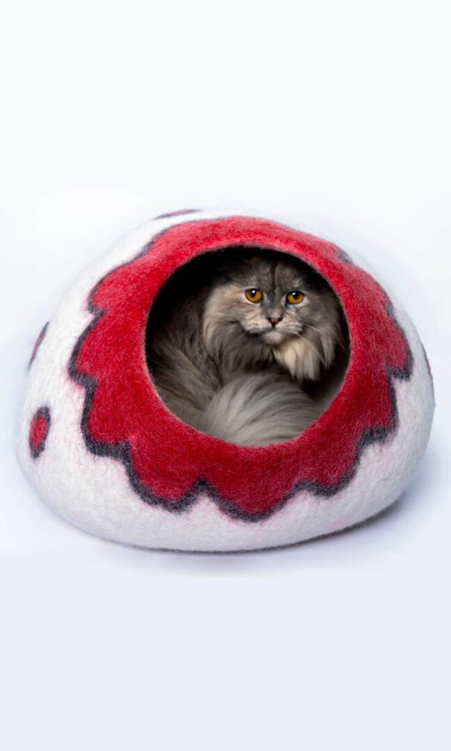 Cozy best sale cat cave