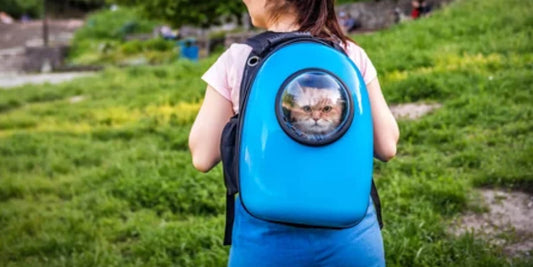 A girl embarks on an adventure with her cat, carrying it in a backpack with a transparent window for the cat to enjoy the view. The sheer delight of sharing new landscapes and creating memories with your cat is unparalleled.