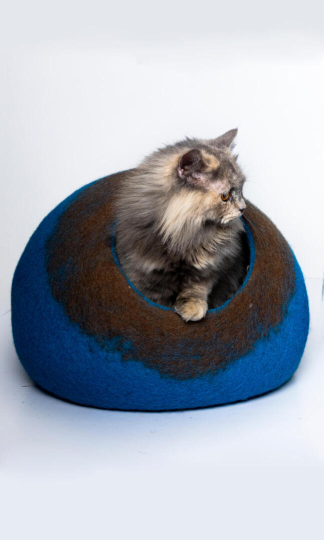 A cute cat comes out of its french blue Cat cave house with an oval-shaped bed. The house features a french blue base with a chocolate brown abstract paint-like design.